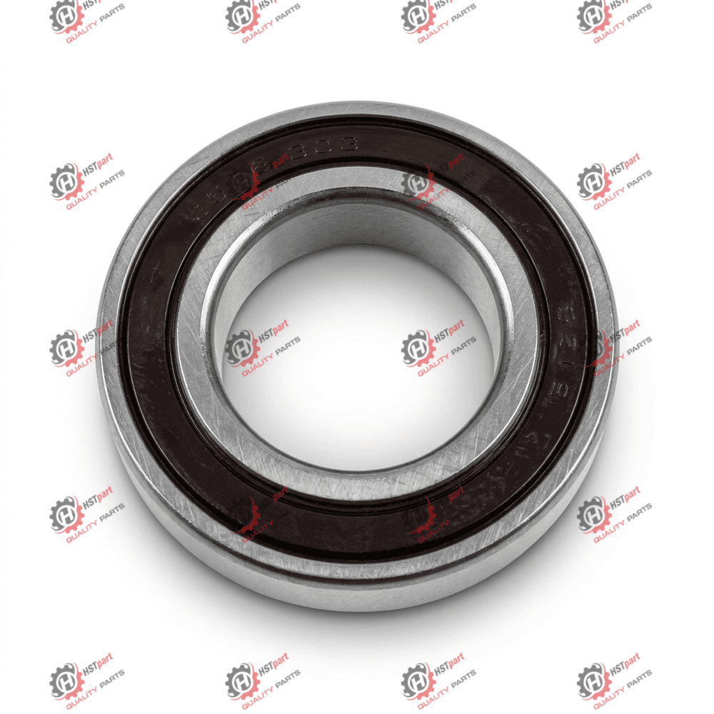 6006 2RS RULMAN-30X55X13