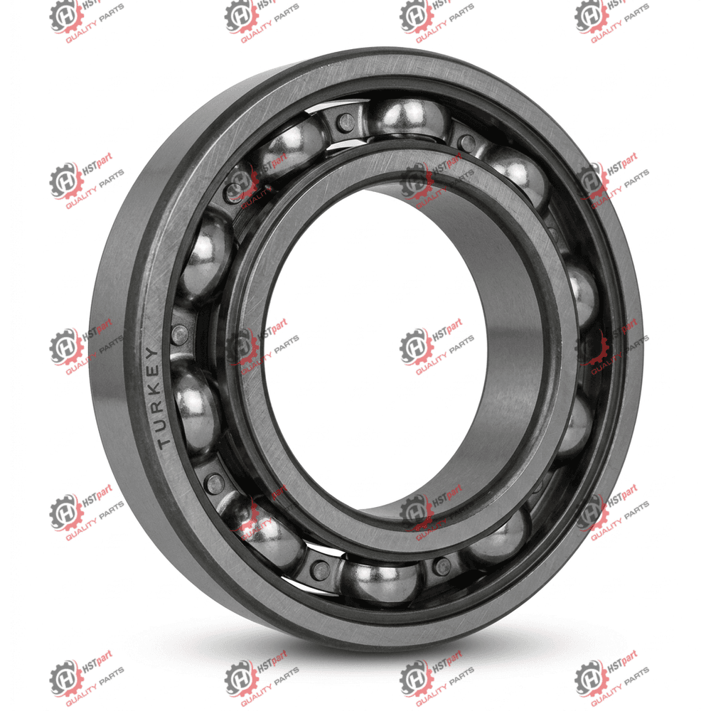 ŞANZIMAN BİLYASI FAG 6210
