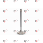 EMME SUBAP STD (İNCE) Y.M