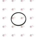 TAHRİK KUTU YAĞ GİRİŞ KAPAĞININ ORİNGİ TMR 66X3 BAHÇE VE TARLA